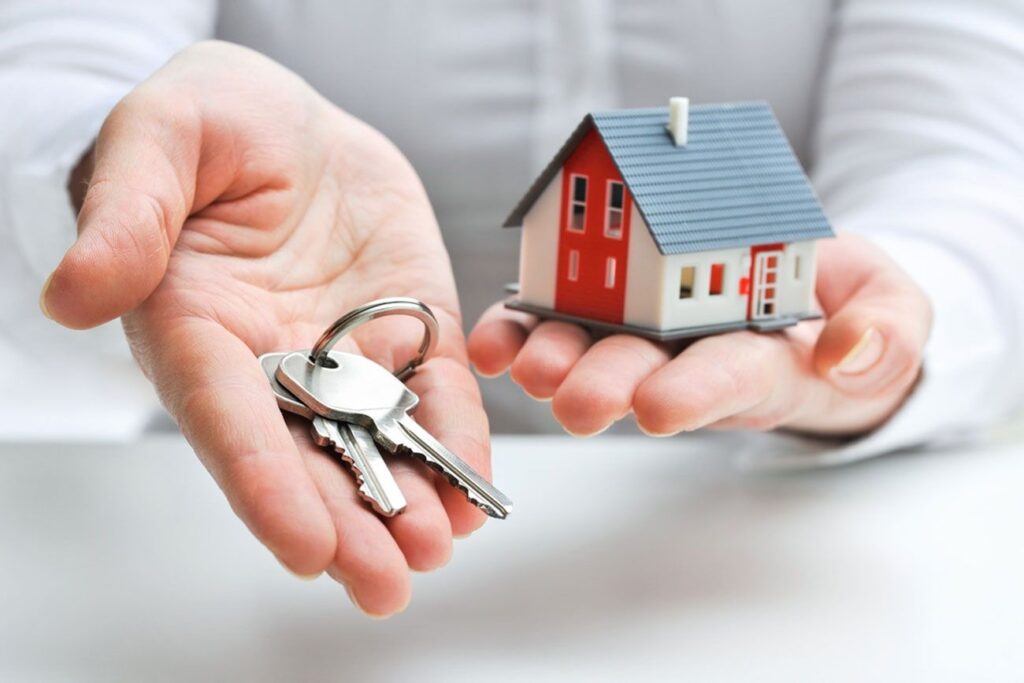 Real Estate Agent